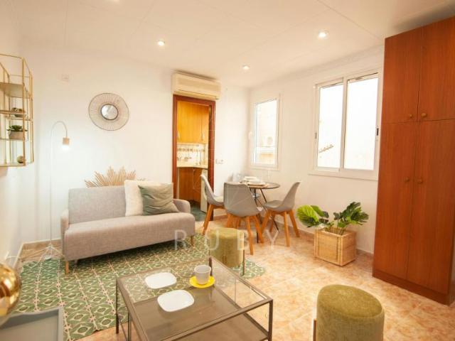 Alquiler 3 Dormitorio Apartamentos L'Hospitalet De Llobregat L'Hospitalet De Llobregat DS103696428