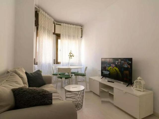 Alquiler 3 Dormitorio Apartamentos L'Hospitalet De Llobregat L'Hospitalet De Llobregat DS104003954