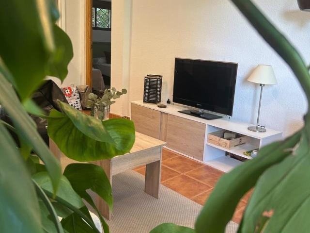 Alquiler 3 Dormitorio Apartamentos San Martín De Valdeiglesias San Martín De Valdeiglesias DS103581157