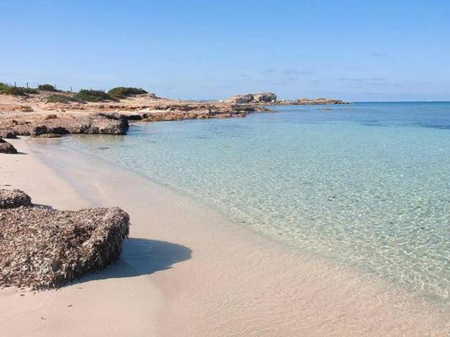 Alquiler 3 Dormitorio Apartamentos Ses Salines Ses Salines DLS84774363