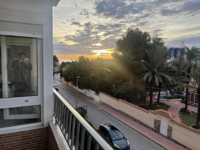 Alquiler 3 Dormitorio Apartamentos Torrevieja Torrevieja DS98972539