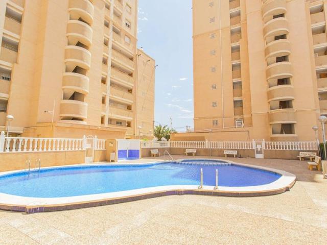 Alquiler 3 Dormitorio Apartamentos Torrevieja Torrevieja DS99382723
