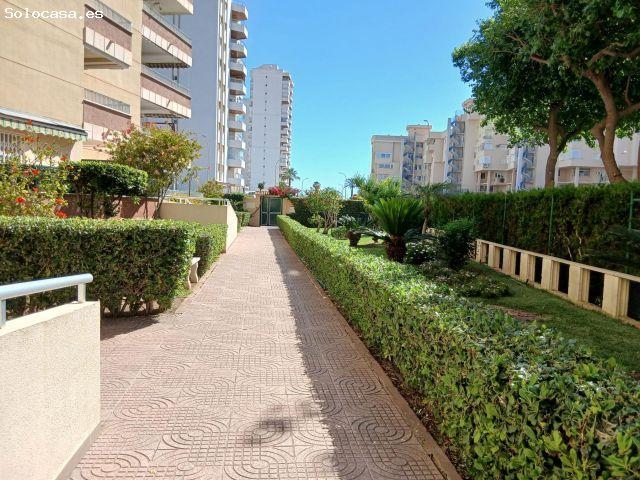 ALQUILER VACACIONAL EN LA PLAYA DE GANDIA