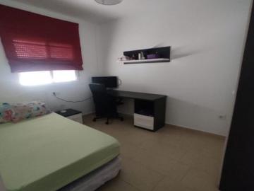 V Centenario, Los Colonos, Cádiz, Andalucía, Andalucía