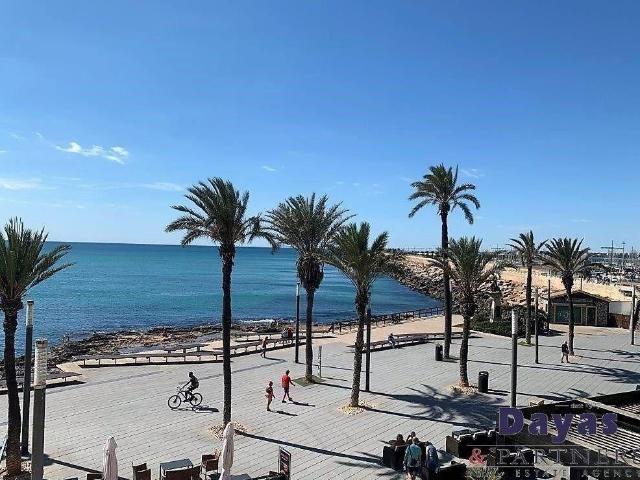 ALQUILER VIVIENDA EN PRIMERA LINEA DEL MAR TORREVIEJA