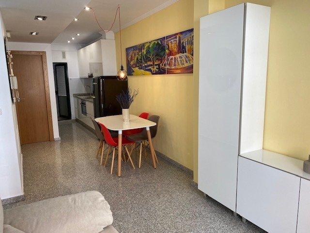 ALQUILER APARTAMENTO 1 DORMITORIO, CENTRICO, AMUEBLADO JUNTO CATEDRAL