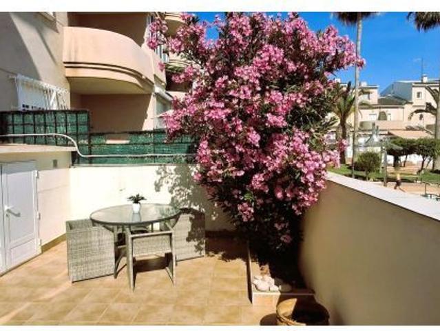 ALQUILER APARTAMENTO PLANTA BAJA MIL PALMERAS