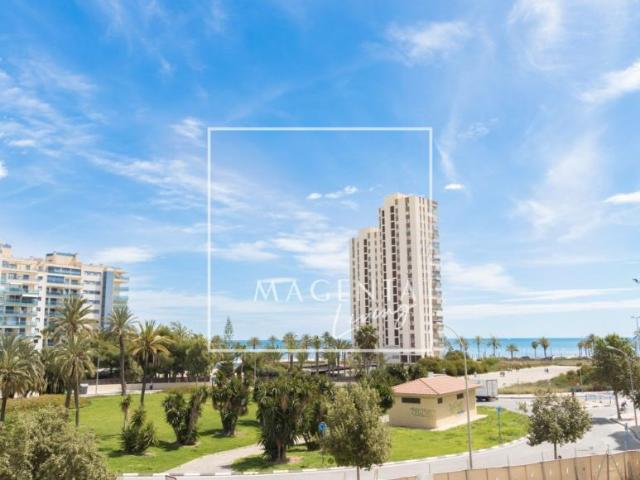 Alquiler Apartamentos Alicante Alicante DS98881547