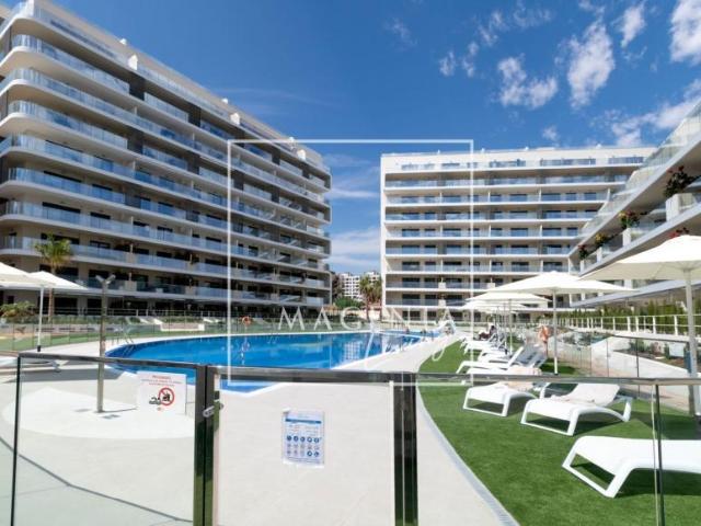 Alquiler Apartamentos Alicante Alicante DS98881545