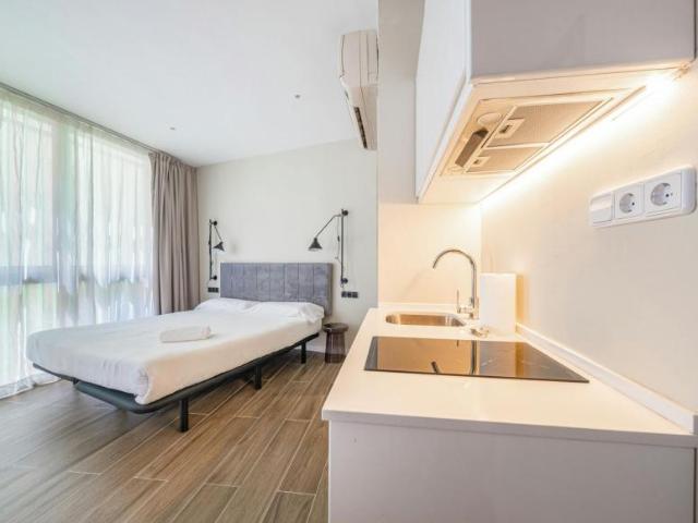 Alquiler Apartamentos Barcelona Barcelona DS102816655