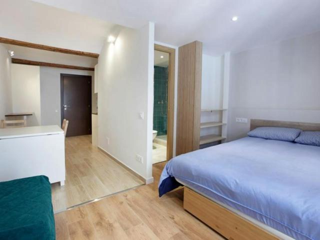 Alquiler Apartamentos Barcelona Barcelona DS104784738