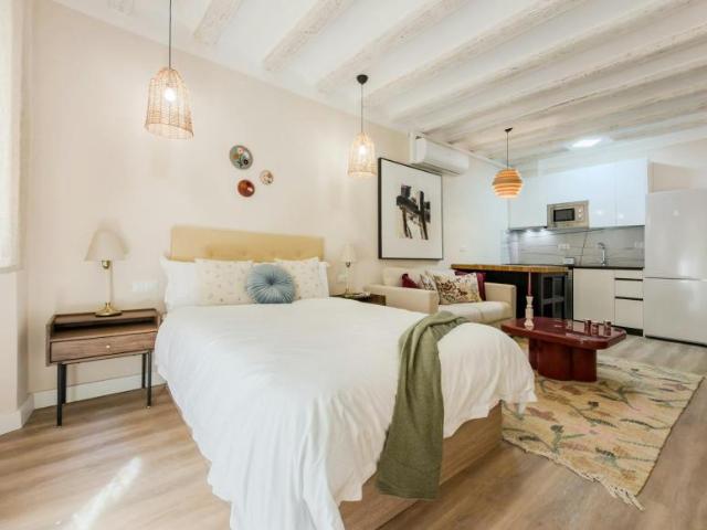 Alquiler Apartamentos Barcelona Barcelona DS104877610