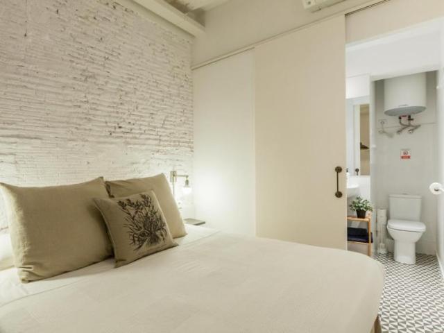 Alquiler Apartamentos Barcelona Barcelona DS104891167
