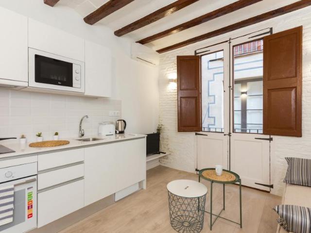 Alquiler Apartamentos Barcelona Barcelona DS105625832