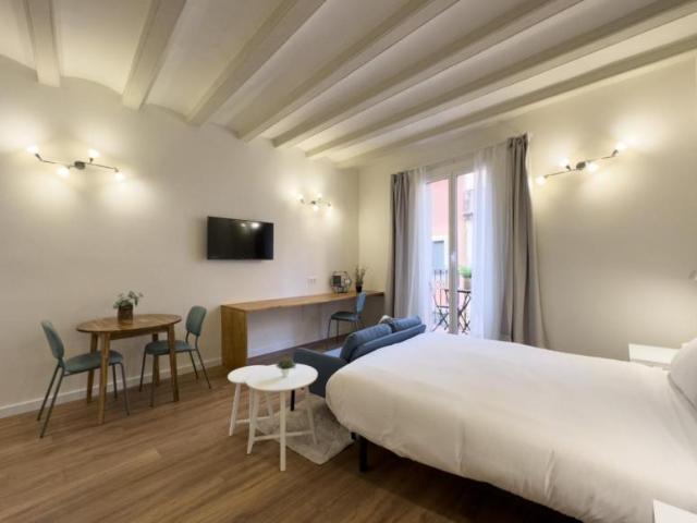 Alquiler Apartamentos Barcelona Barcelona DS106075994