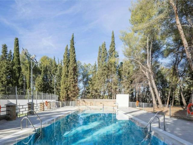 Alquiler Apartamentos Granada Granada DLS102851072