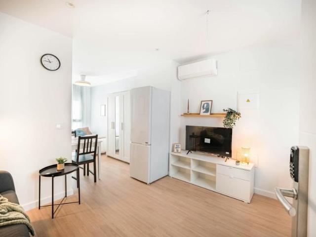 Alquiler Apartamentos Elche Elche DLS103396660