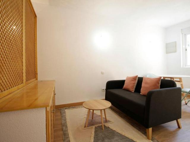 Alquiler Apartamentos Madrid Madrid DLS104754990