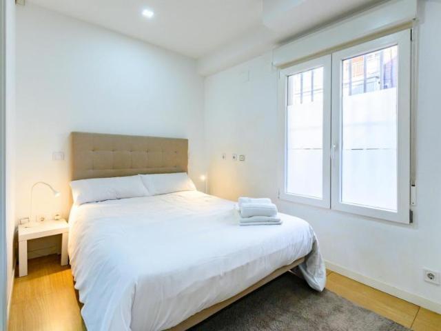 Alquiler Apartamentos Madrid Madrid DS101111500