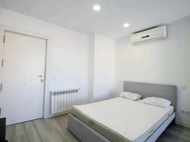 Alquiler Apartamentos Madrid Madrid DS101848728
