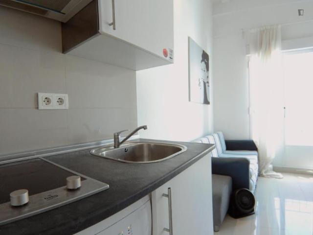 Alquiler Apartamentos Madrid Madrid DS103262092