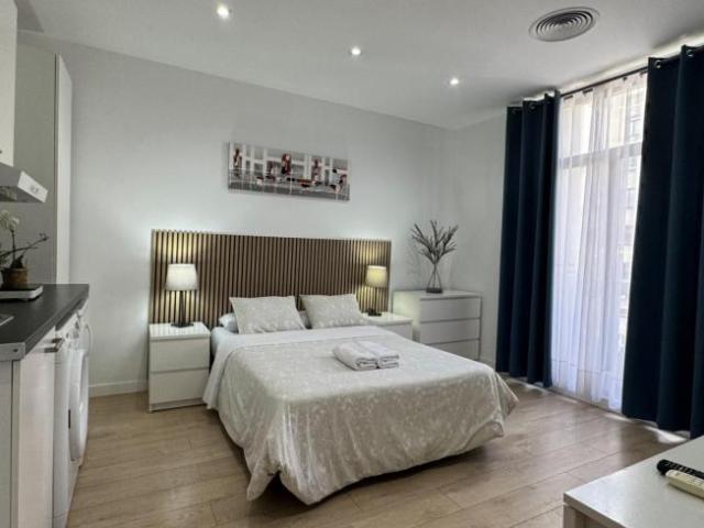 Alquiler Apartamentos Madrid Madrid DS103283091