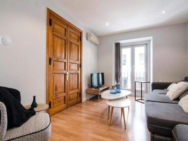 Alquiler Apartamentos Madrid Madrid DS103381323