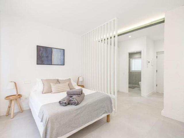 Alquiler Apartamentos Madrid Madrid DS103595226