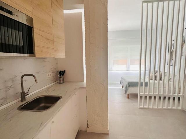Alquiler Apartamentos Madrid Madrid DS103656412