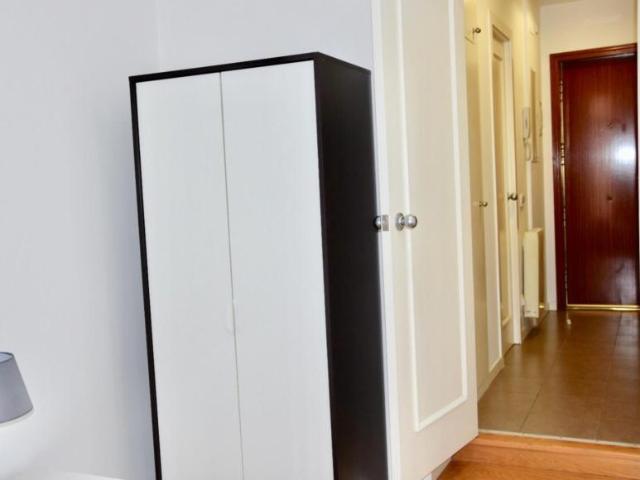 Alquiler Apartamentos Madrid Madrid DS103612395