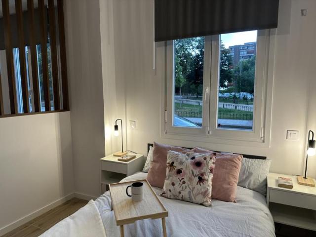 Alquiler Apartamentos Madrid Madrid DS103612302