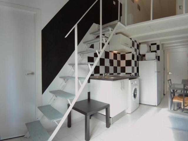 Alquiler Apartamentos Madrid Madrid DS104682083