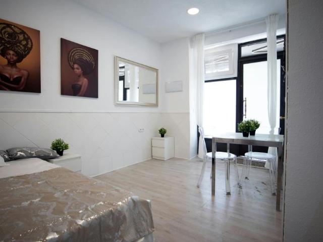 Alquiler Apartamentos Madrid Madrid DS105507702