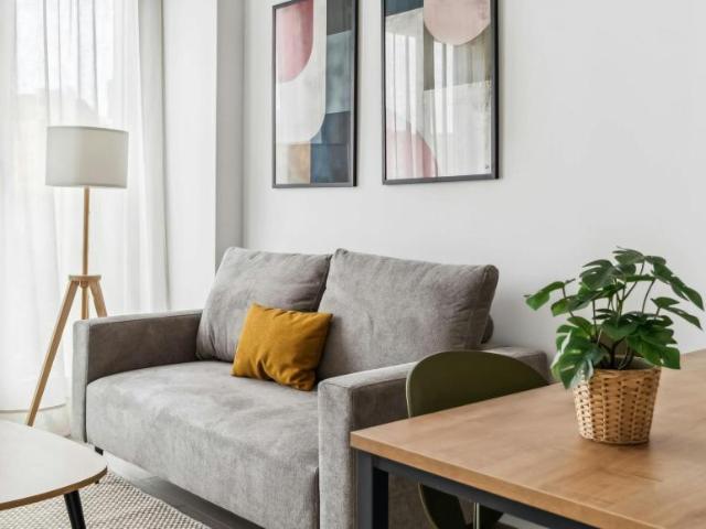 Alquiler Apartamentos Madrid Madrid DS105793896
