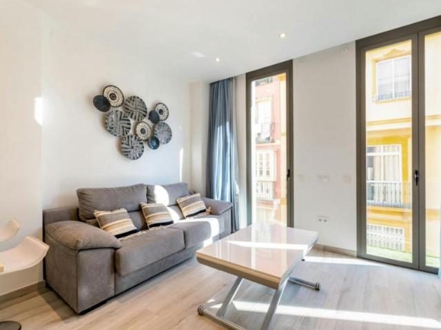 Alquiler Apartamentos Málaga Málaga DLS102367526