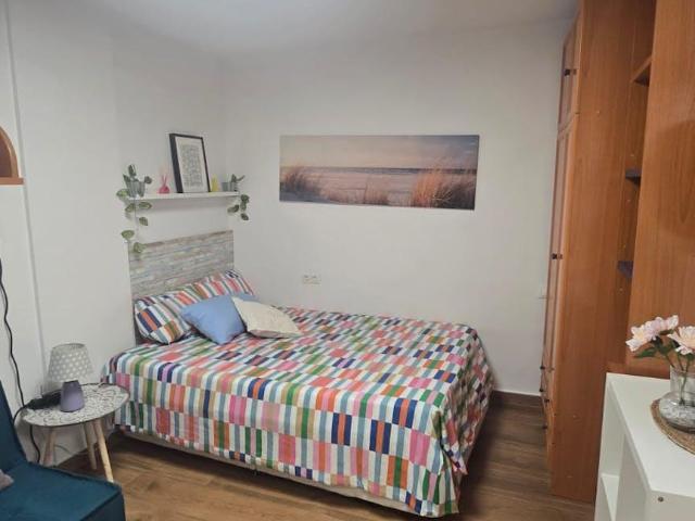 Alquiler Apartamentos Málaga Málaga DLS104783077