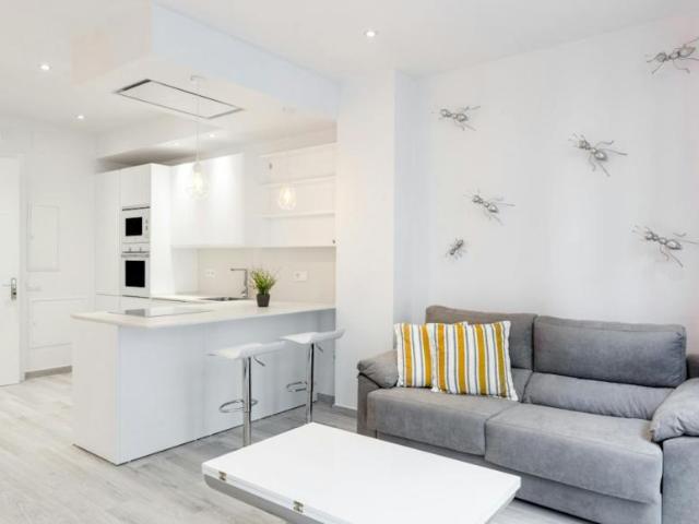 Alquiler Apartamentos Málaga Málaga DS103613559