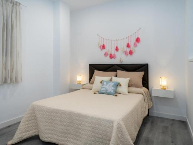 Alquiler Apartamentos Málaga Málaga DS104937879