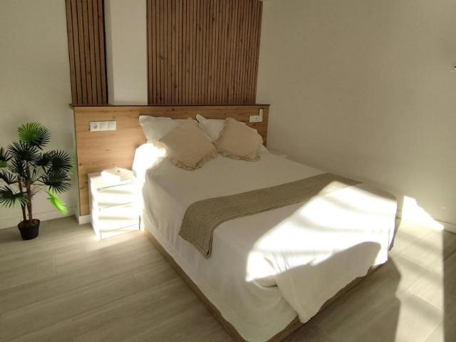 Alquiler Apartamentos Málaga Málaga DS105025209