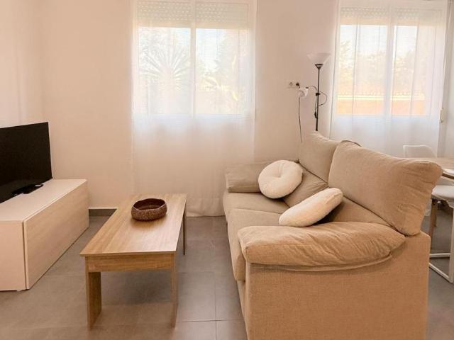 Alquiler Apartamentos Málaga Málaga DS106006261