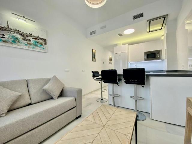 Alquiler Apartamentos Sevilla Sevilla DS105120186