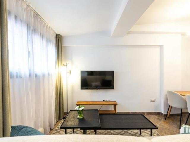 Alquiler Apartamentos Valencia Valencia DS104784191