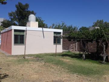 Alquiler Casa: 3 Dormitorios, 1 Cocina Comedor, 1 Baño, Horno De Ladrillo, Pergolas De Parra, Amplio Fondo