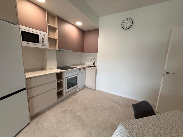 ALQUILER CENTRO DE ALICANTE 1 DORMITORIO