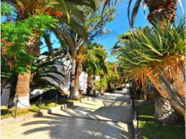 Alquiler de temporada partamento recien reformado en los Cristianos