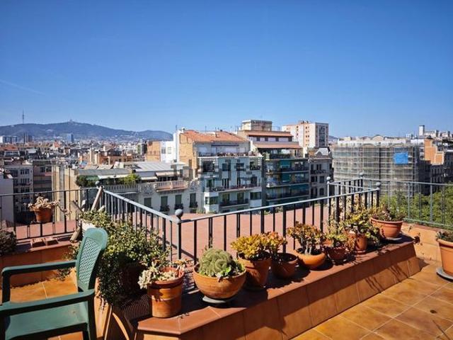 Alquiler de ático en Corts Catalanes