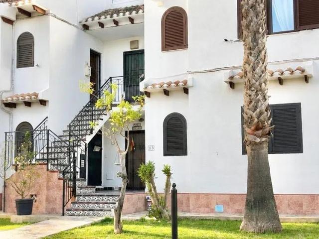 Alquiler de casa o chalet en Cabo Roig