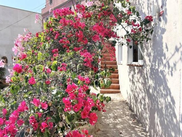 Alquiler de casa o chalet en Calle de la Puríssima