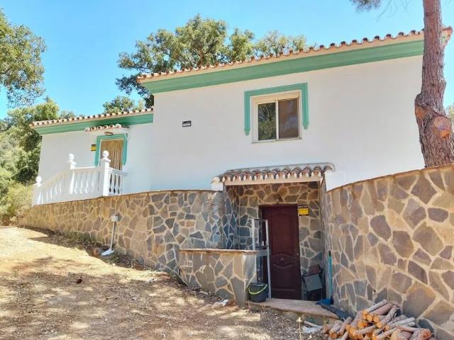 Alquiler de casa o chalet independiente en Calle Dorada de Cala Golf, 2