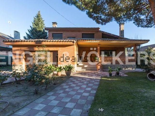 Alquiler de casa o chalet independiente en Calle del Monte Guadalupe